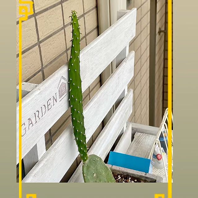 YuuKoさんの部屋