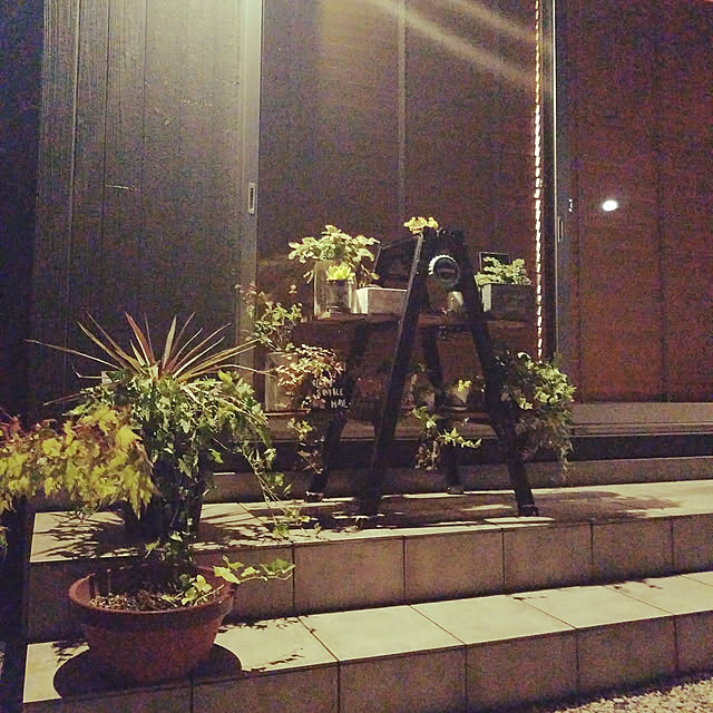 a.hahaさんの実例写真