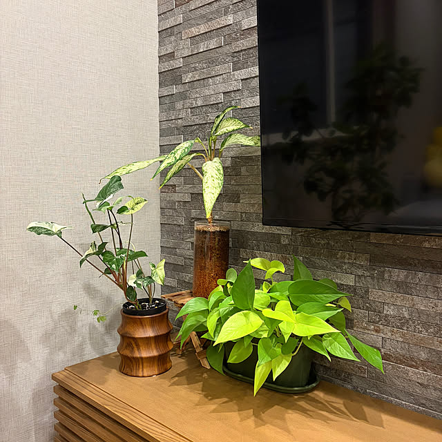 ikuzakさんの部屋