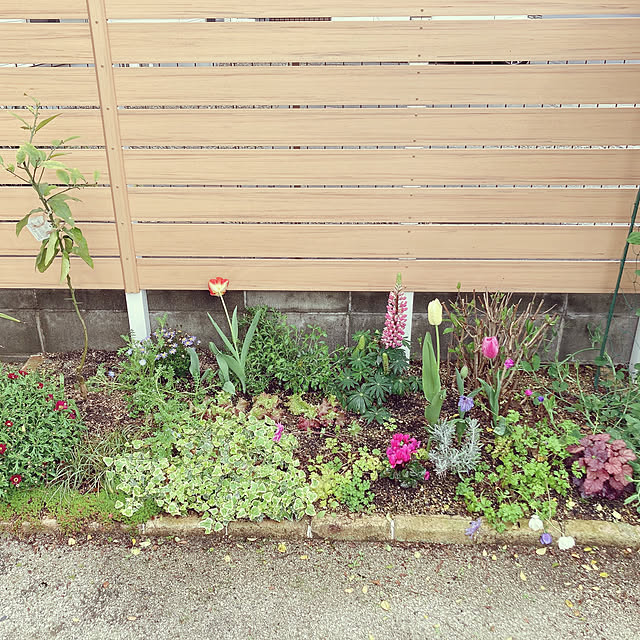satomiさんの部屋