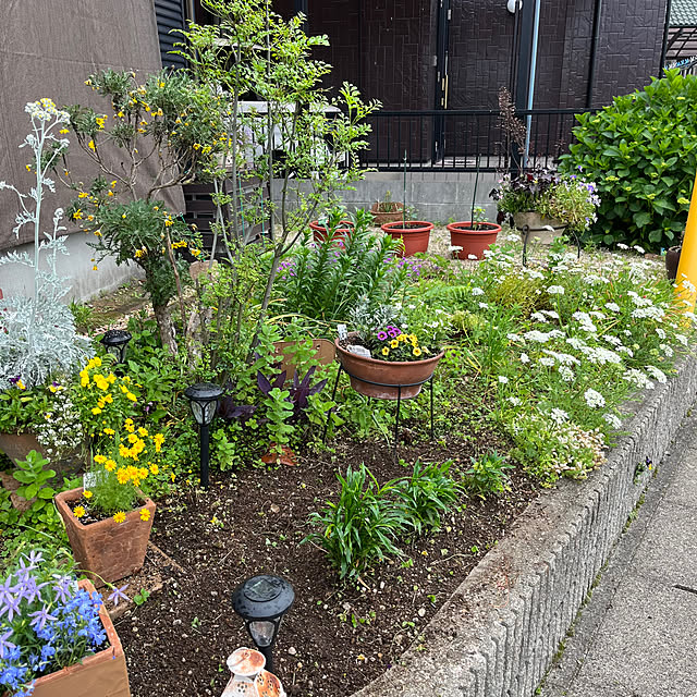 ritsukoさんの部屋