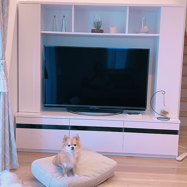 maiさんの実例写真