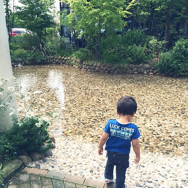 実例写真