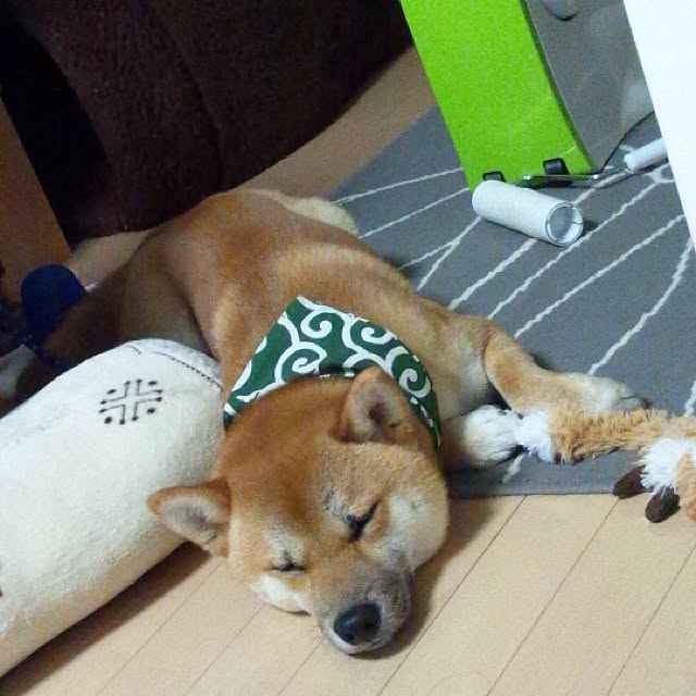 kotaさんの実例写真