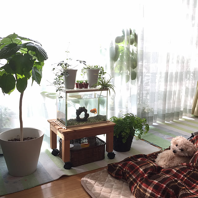 Mさんの実例写真