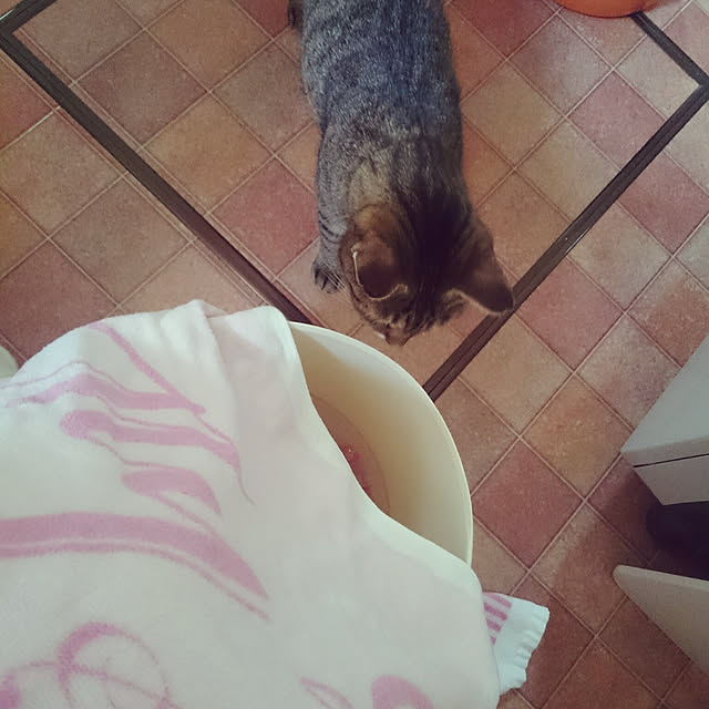lilyさんの実例写真