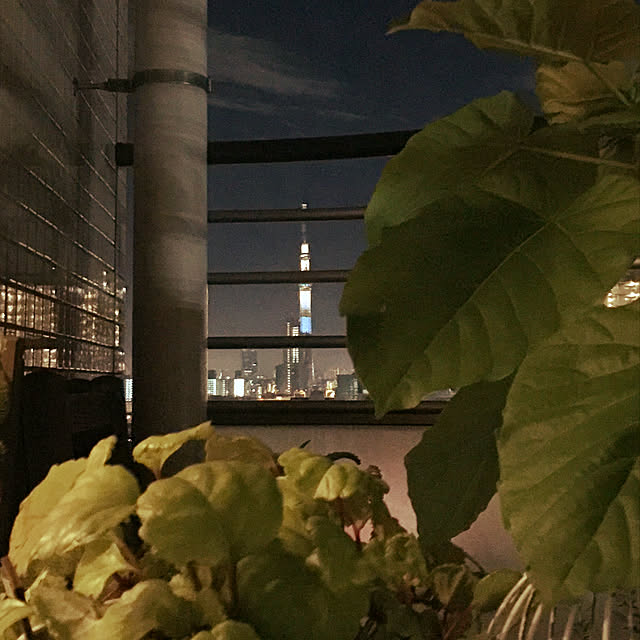 HKSさんの実例写真