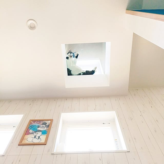 TAKSさんの実例写真