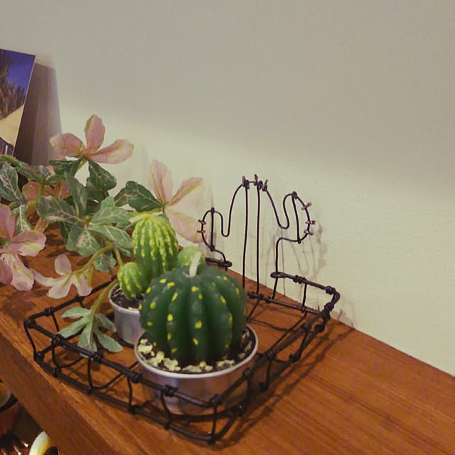 zenoさんの実例写真