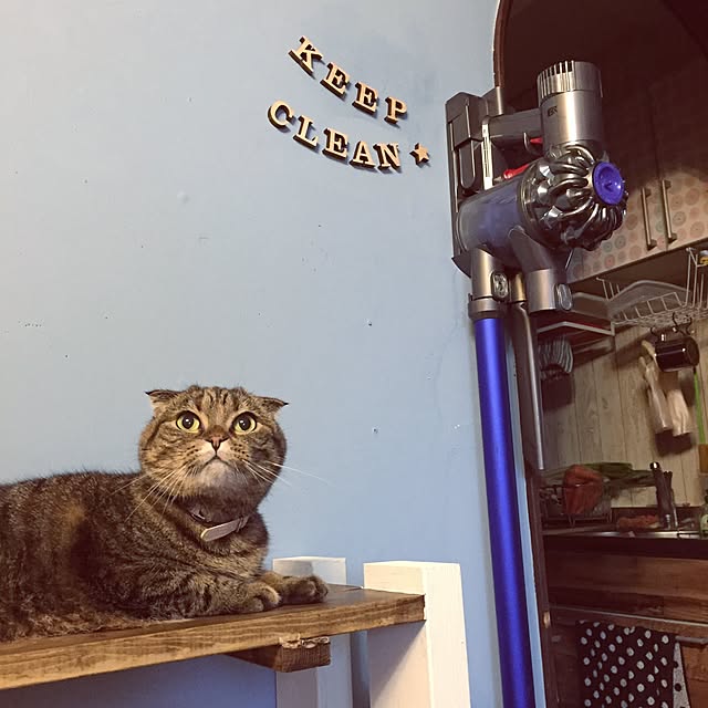 yuccoさんの実例写真