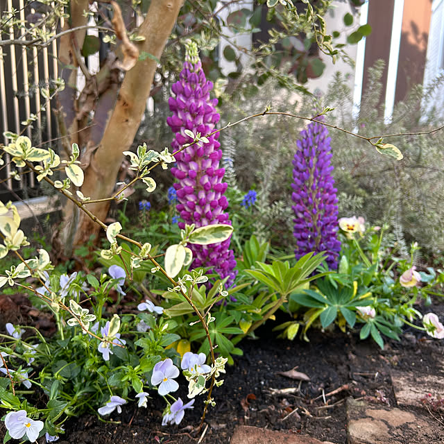 MeineLieblingssachenさんの部屋