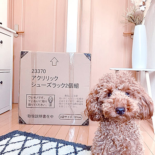 kazuさんの実例写真