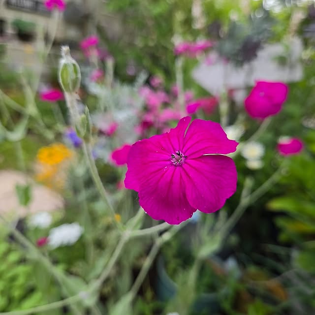 min_nimさんの部屋
