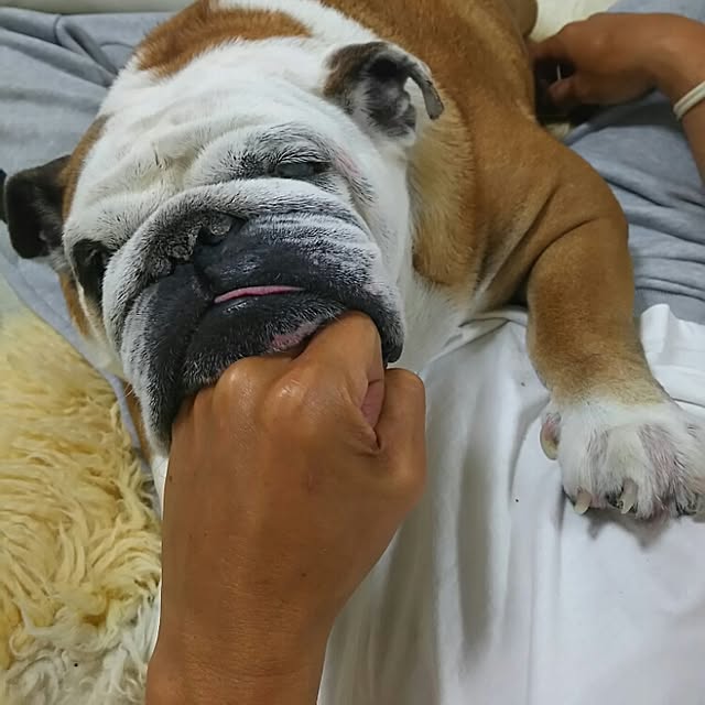 AandPさんの実例写真