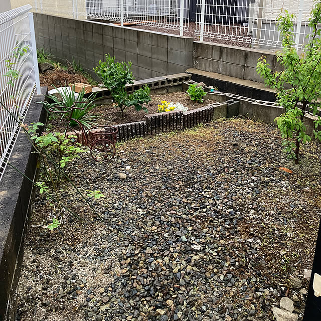 kazu-cafeさんの実例写真