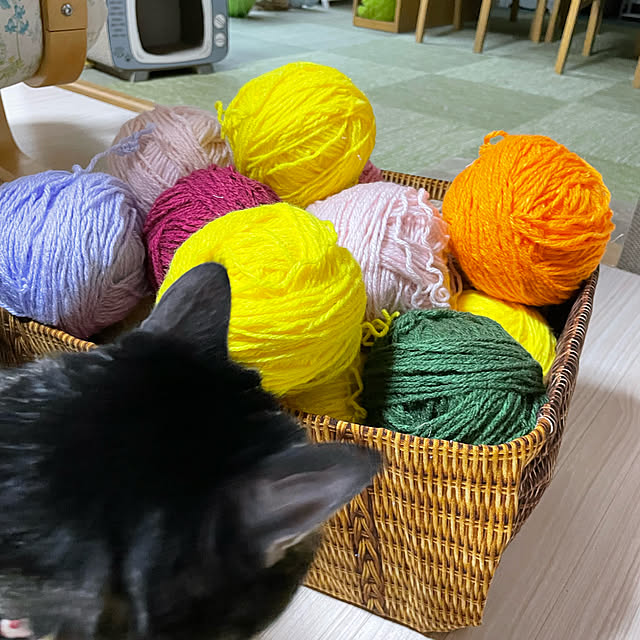 momocchiさんの実例写真