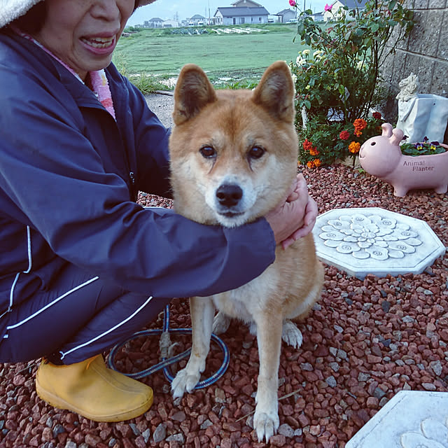 machikomamaさんの実例写真