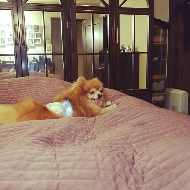 karenさんの実例写真