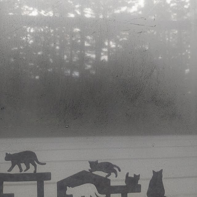 glassさんの実例写真