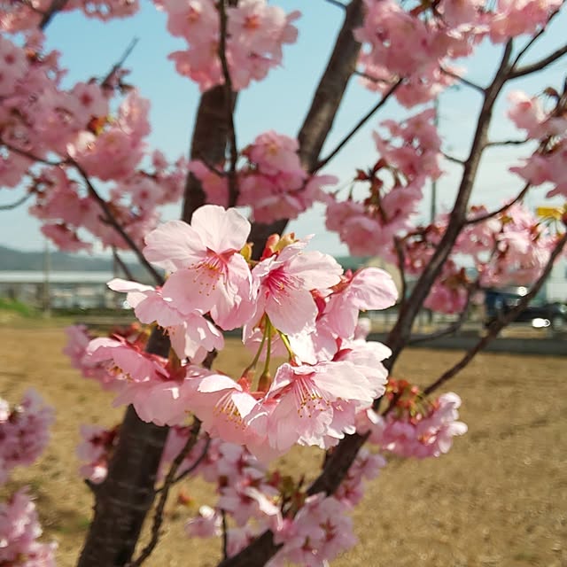 KOHAKUさんの部屋