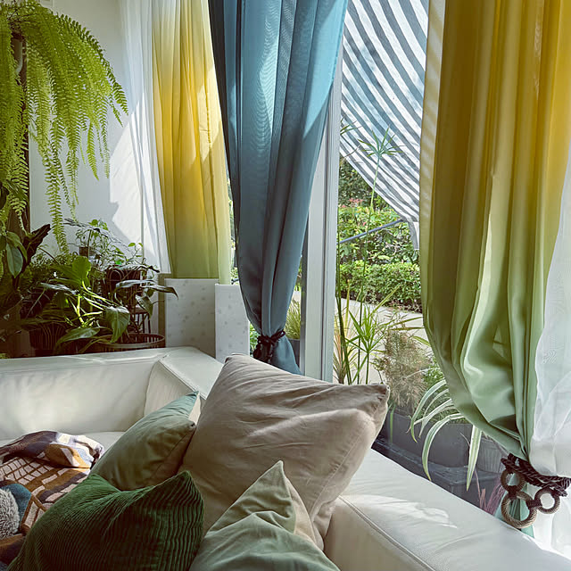 DAYONEさんの実例写真