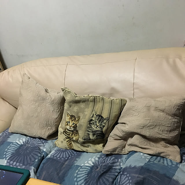 yoshiさんの部屋