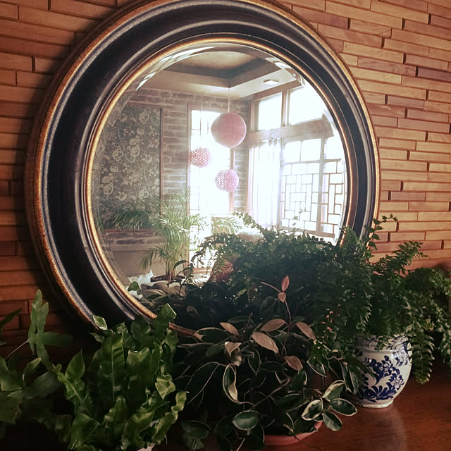 nikkoriさんの実例写真