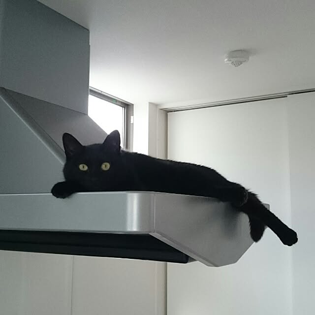 kikinanaさんの実例写真