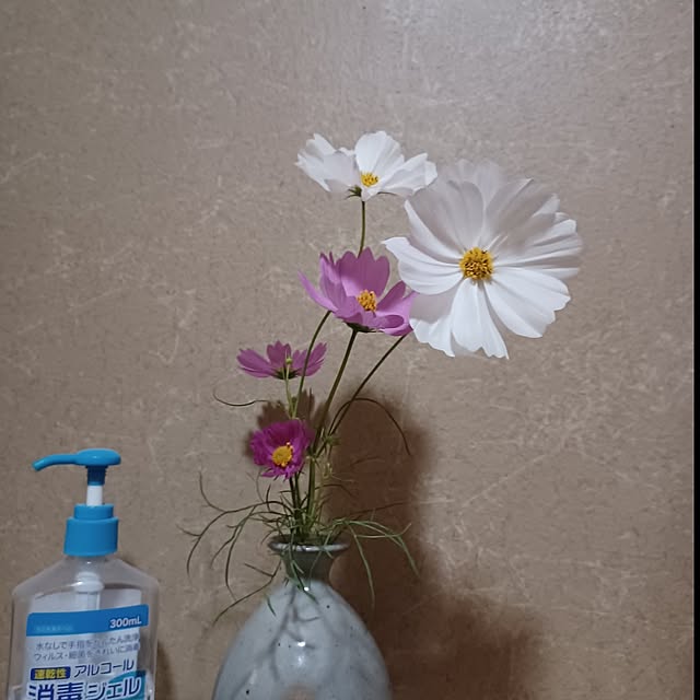 hiro-yさんの実例写真