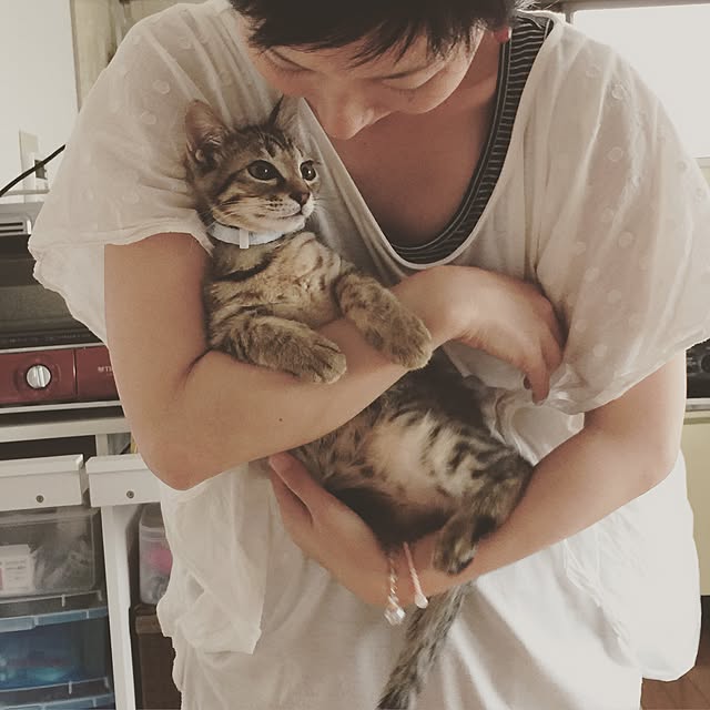 yayonさんの実例写真