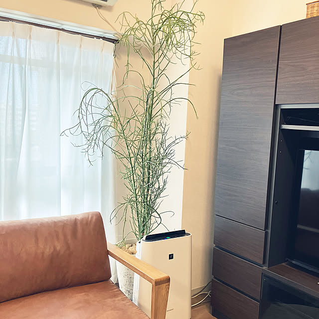 coochanさんの部屋