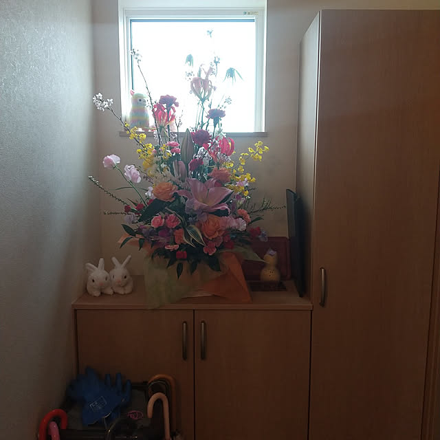 玄関/入り口/植物のある暮らしのインテリア実例 - 2021-03-21 13:47:36
