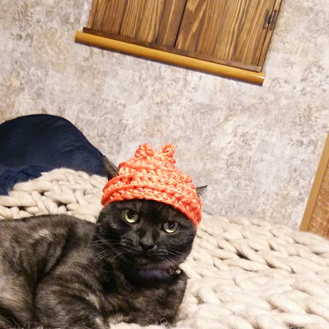 kuroさんの実例写真