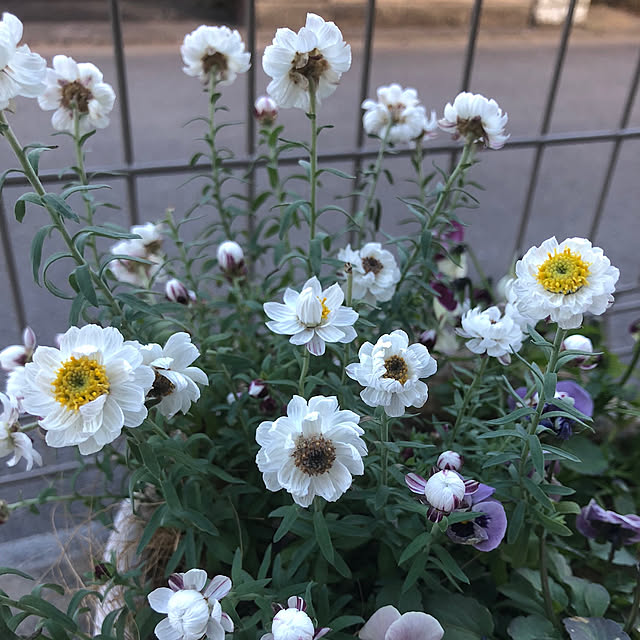 nakabaさんの実例写真