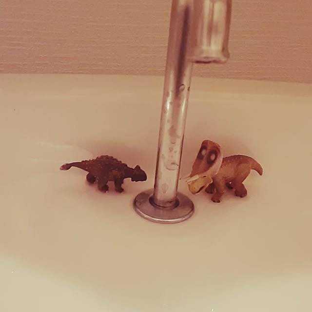 emuさんの実例写真