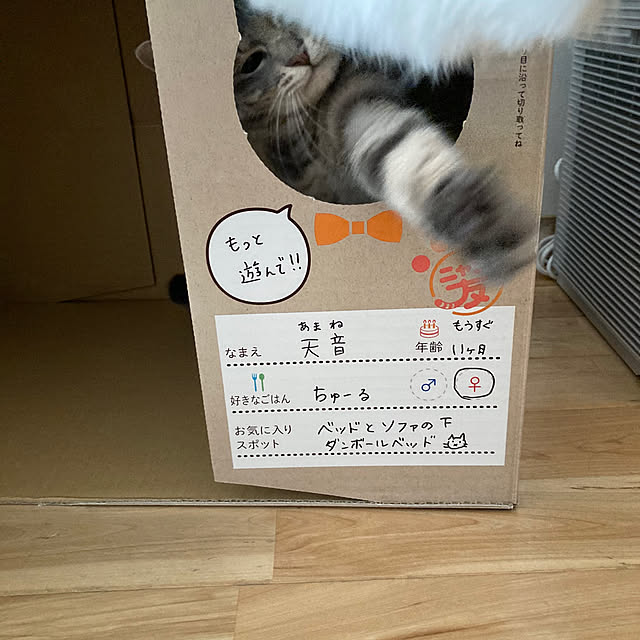 Yuccaさんの部屋