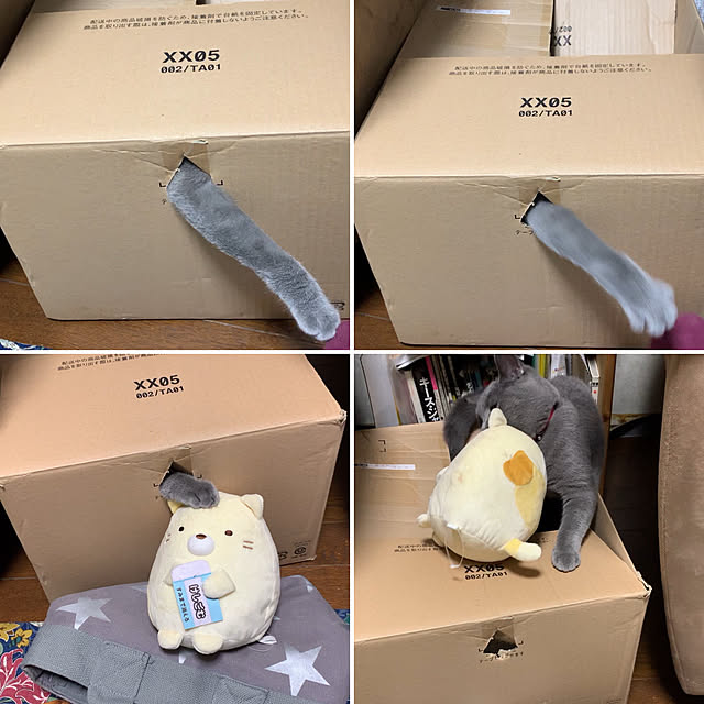 masaさんの実例写真