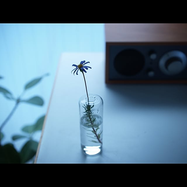 towaさんの実例写真