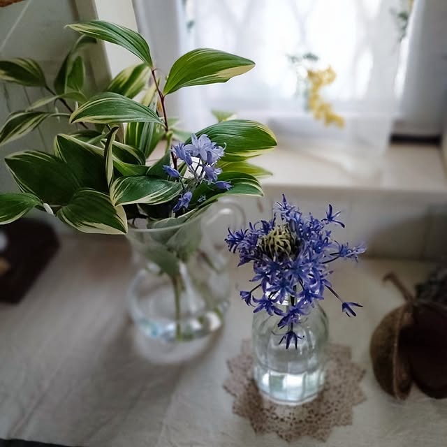 teamoさんの部屋