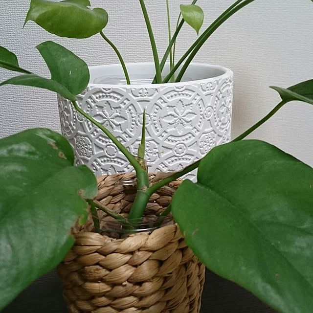 tonchiさんの実例写真