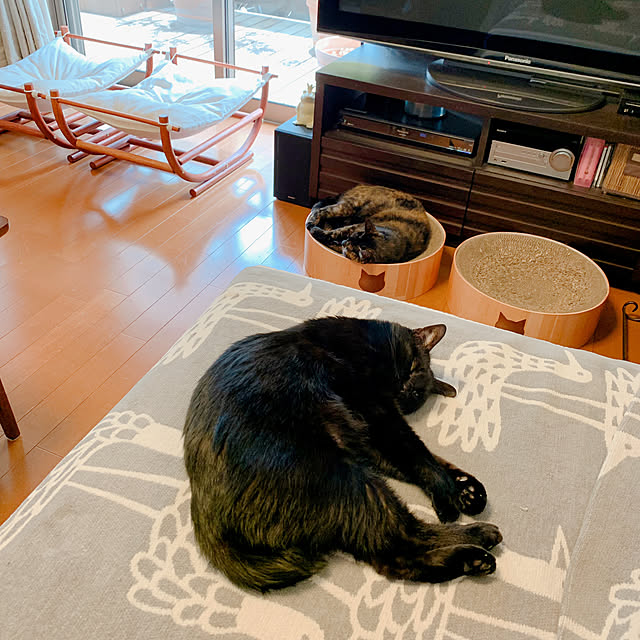 mameazさんの実例写真