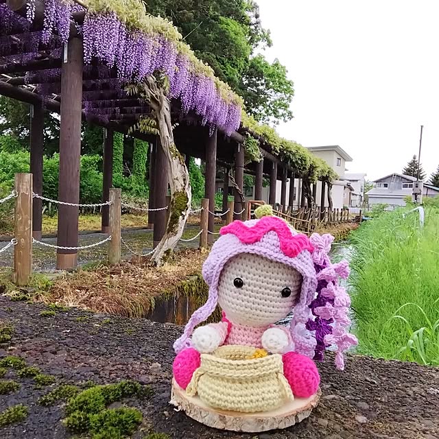 実例写真