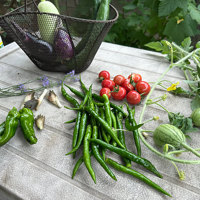 botanさんの部屋
