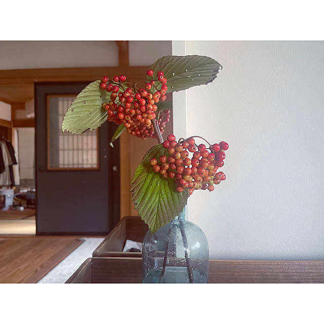 marucoさんの実例写真