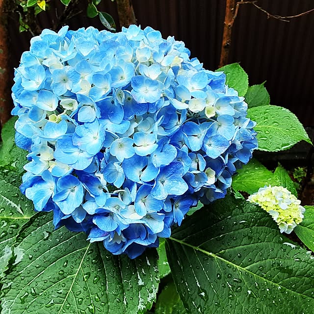 katさんの実例写真