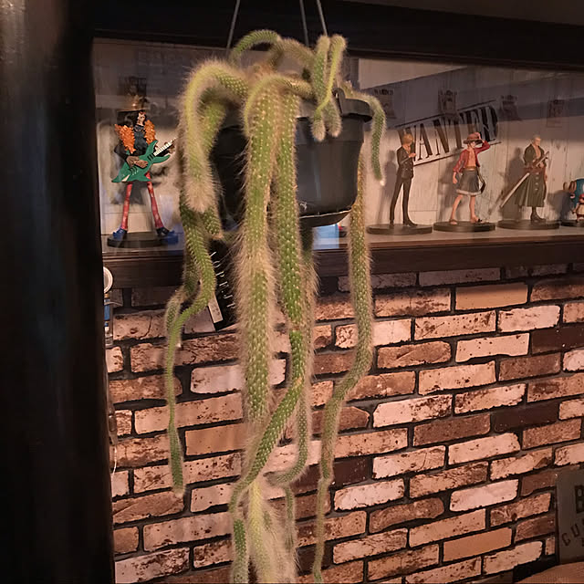 DIyamaさんの実例写真