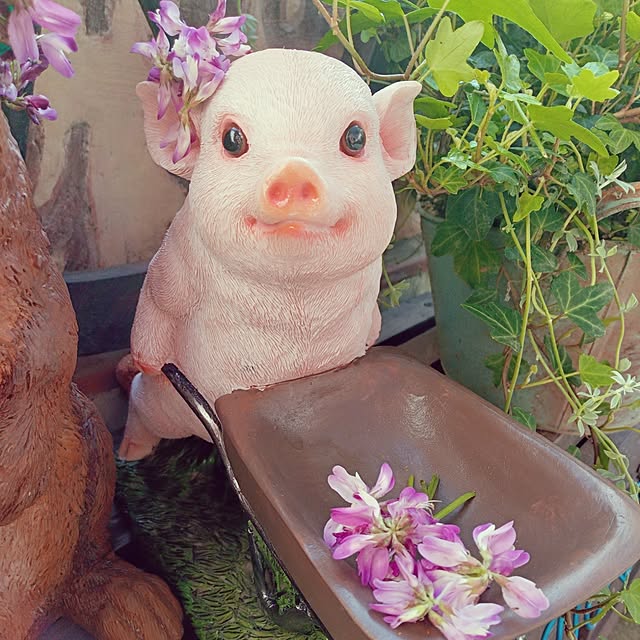 mocomocoさんの部屋