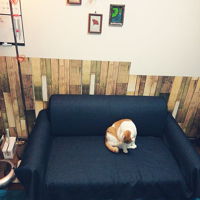 porinさんの実例写真