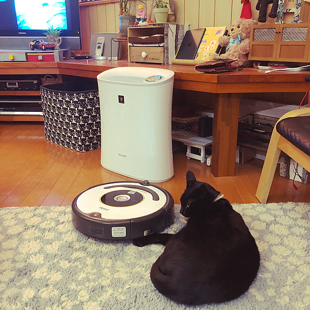 jijiさんの実例写真