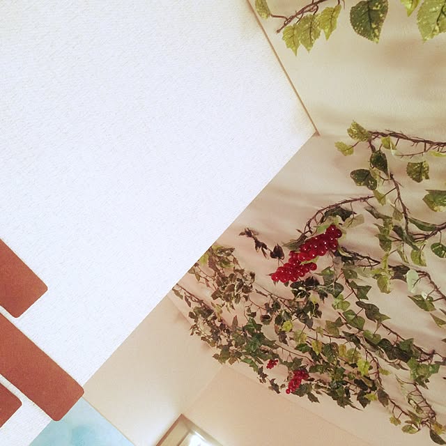 ECOさんの実例写真